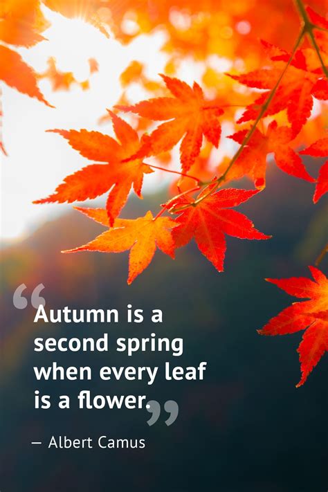 best quotes about autumn|autumn short quotes.